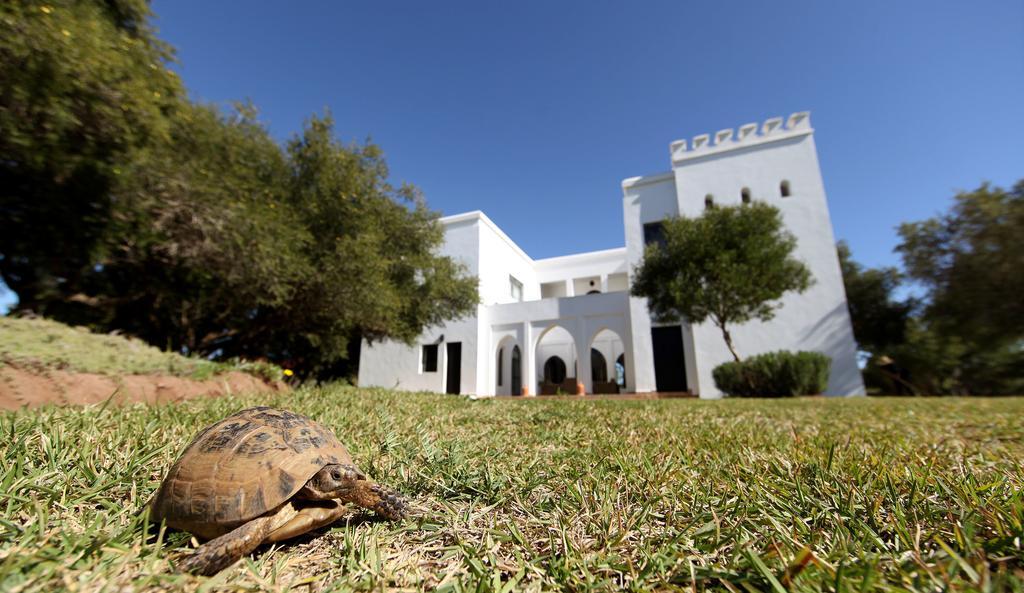 Domaine De L'Arganeraie Hotel Ghazoua Exterior photo